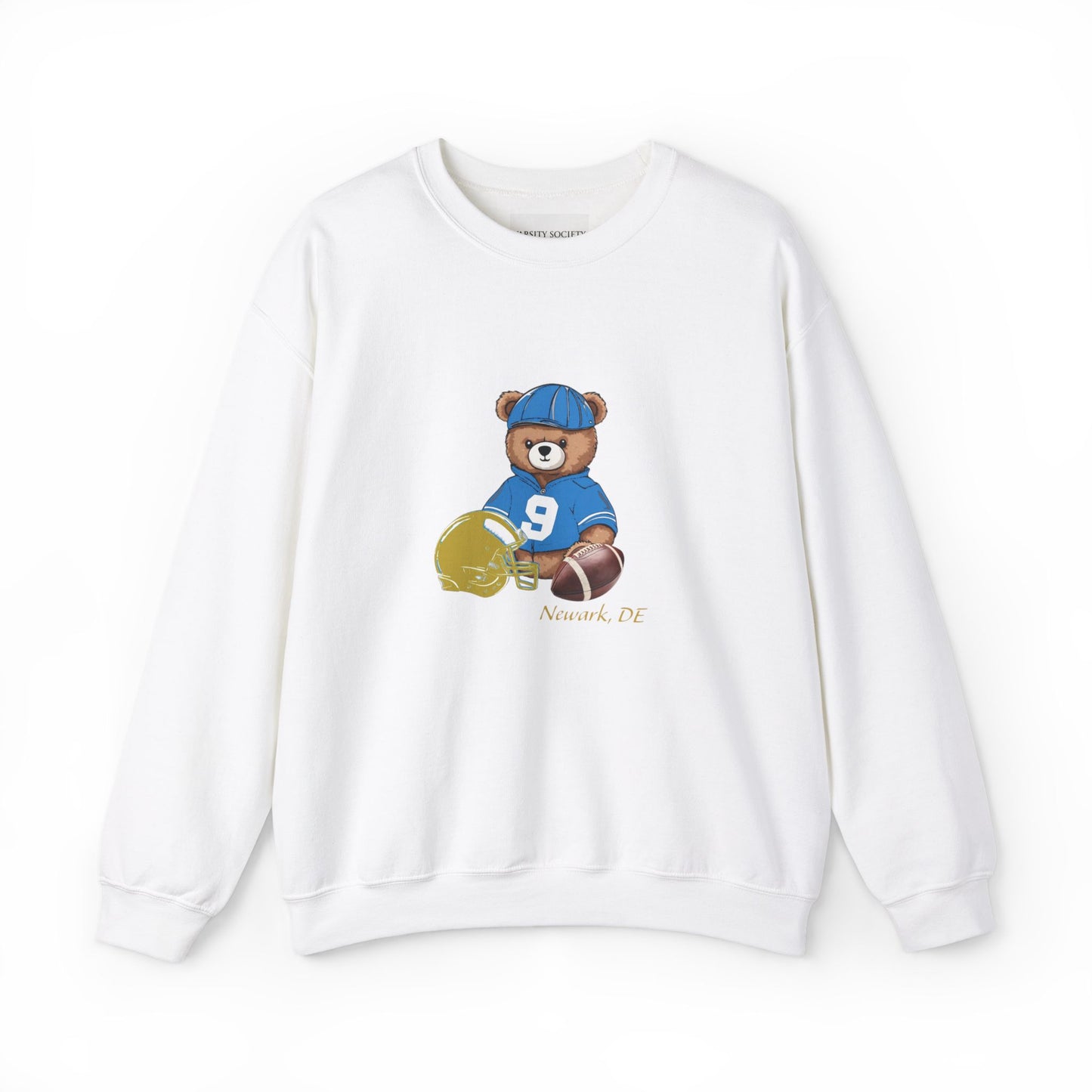 Varsity Teddy Crewneck Newark DE