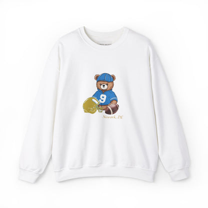 Varsity Teddy Crewneck Newark DE